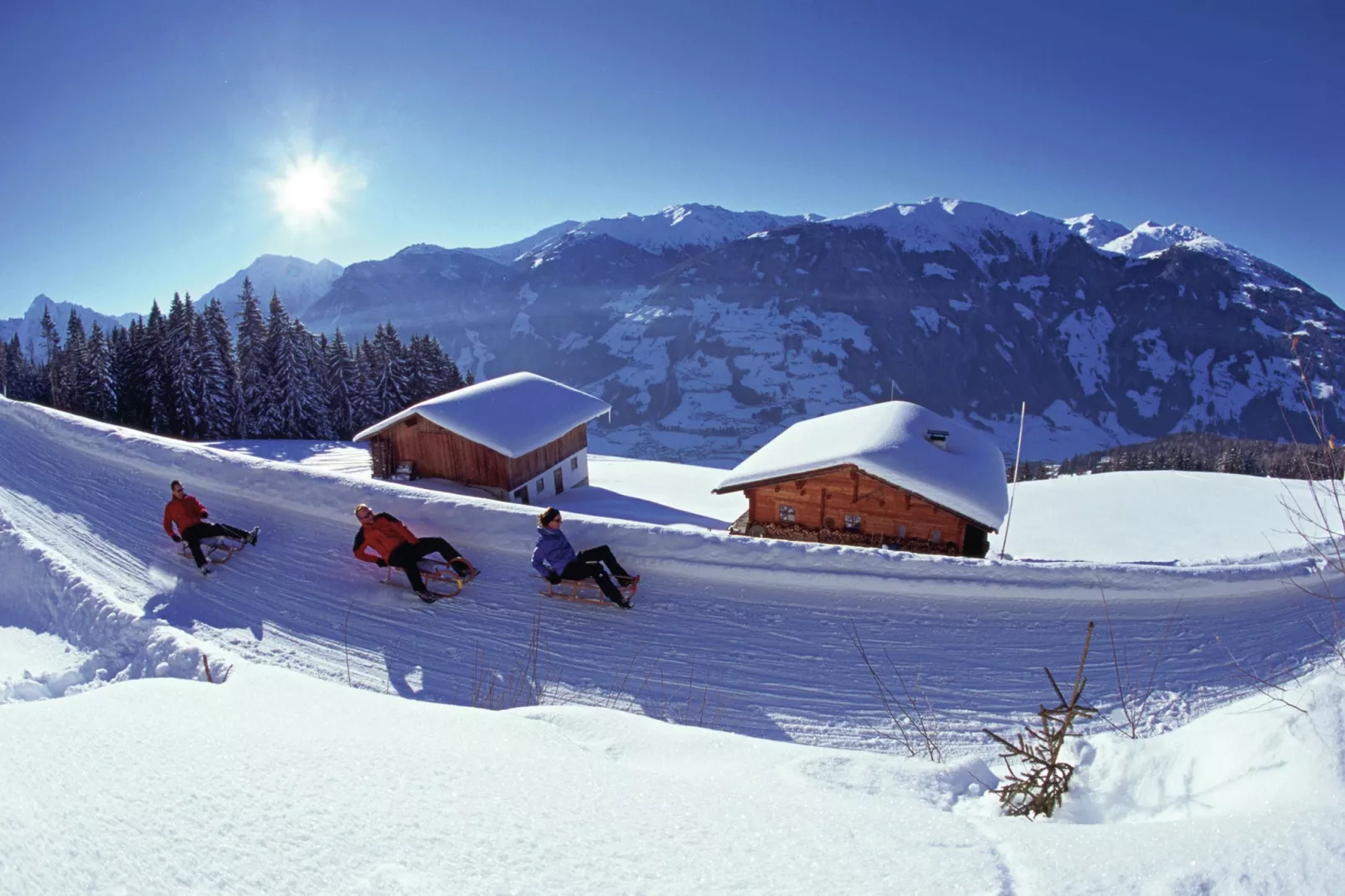 Steigerhof-Gebied winter 5km