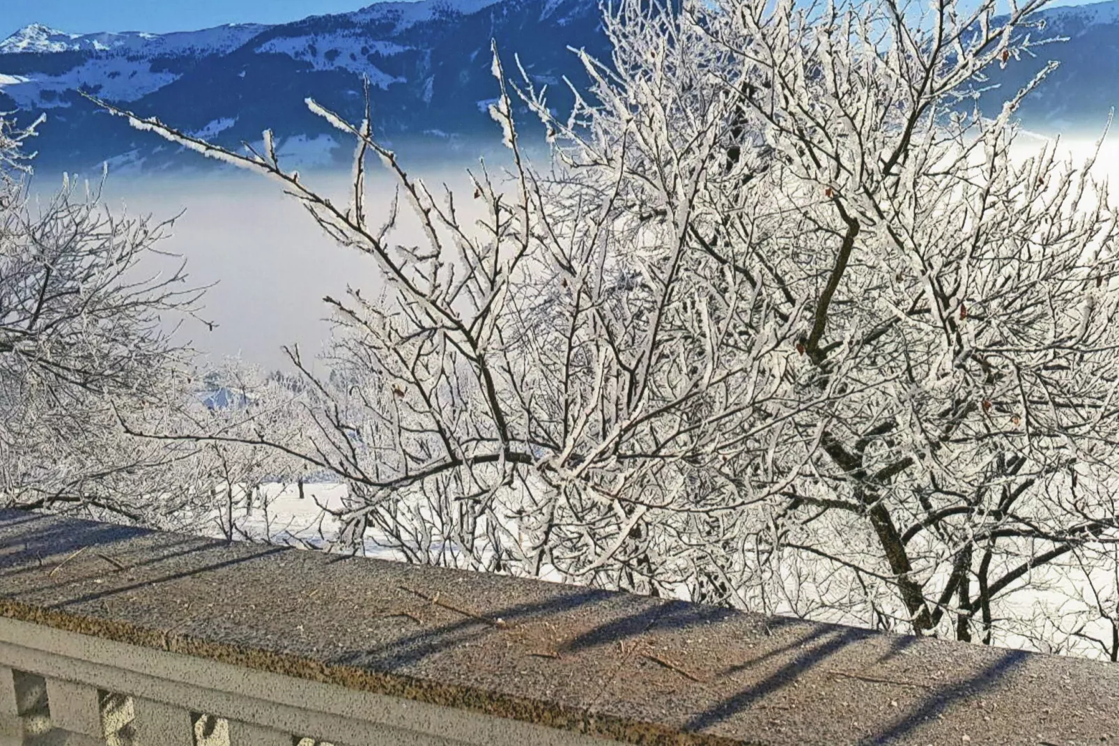 Steigerhof-Uitzicht winter