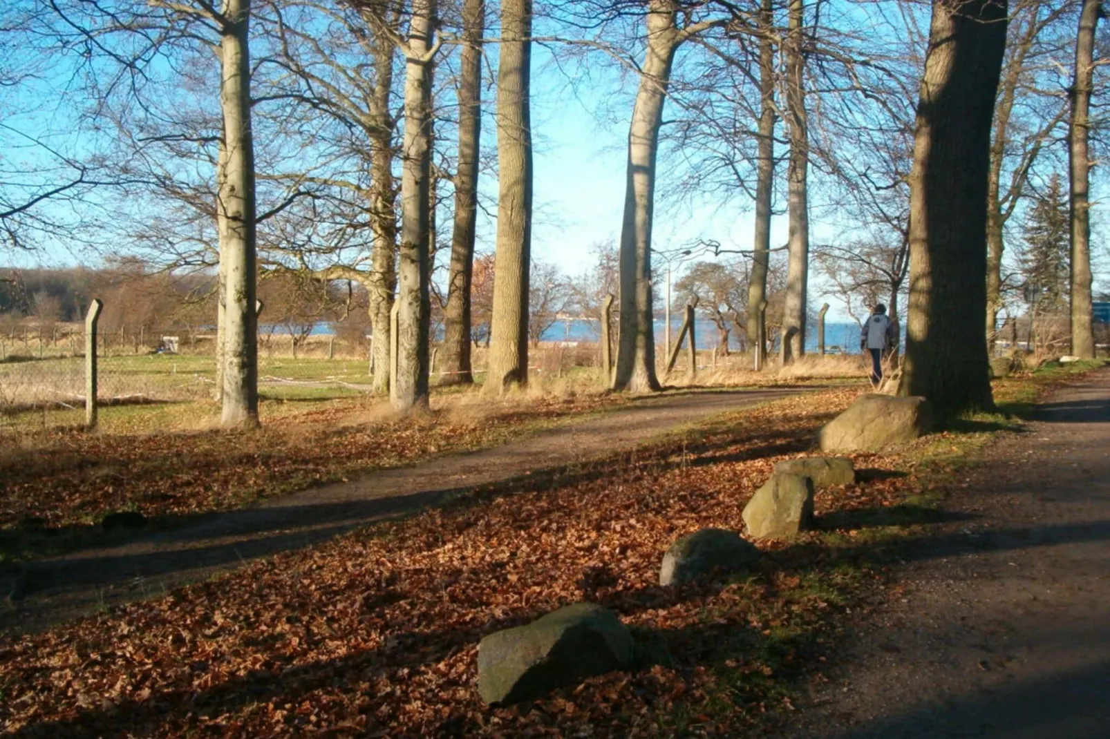 11333-Gebieden zomer 1km