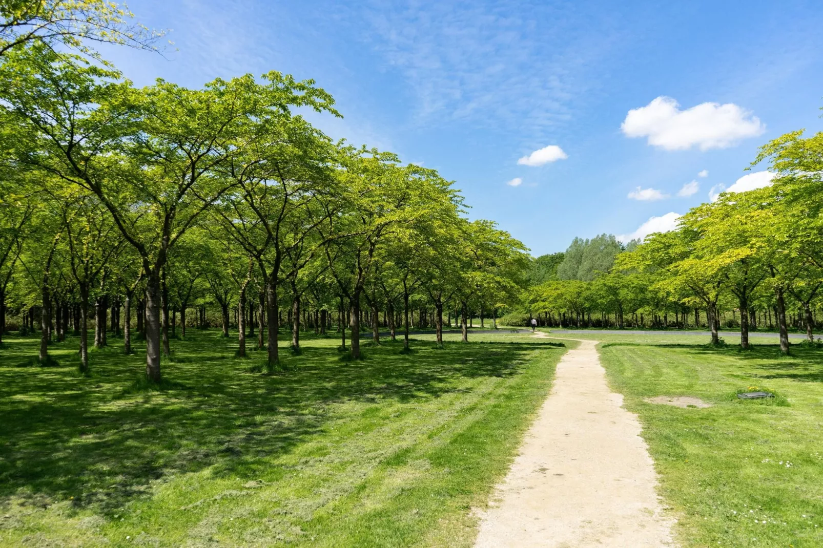 Resort Het Amsterdamse Bos 5-Gebieden zomer 1km