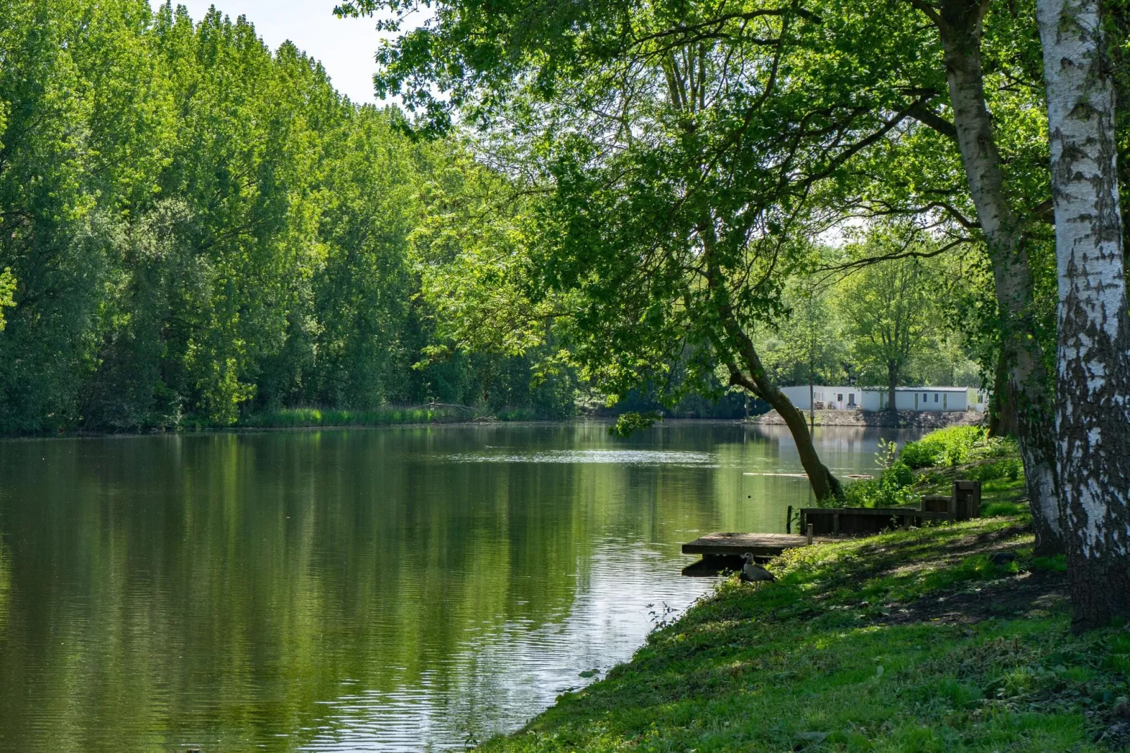 Resort Het Amsterdamse Bos 5-Gebieden zomer 1km