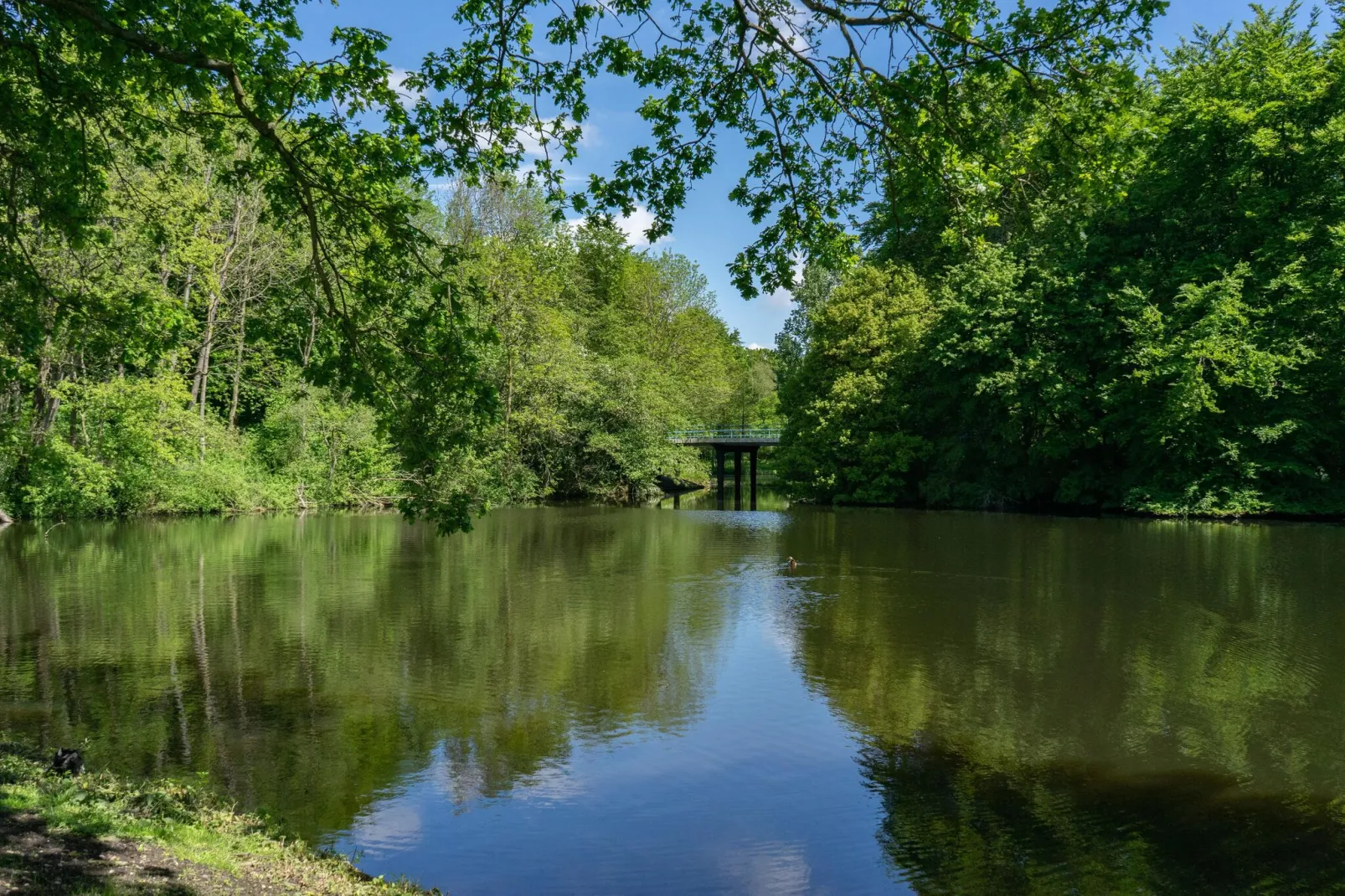 Resort Het Amsterdamse Bos 5-Gebieden zomer 1km