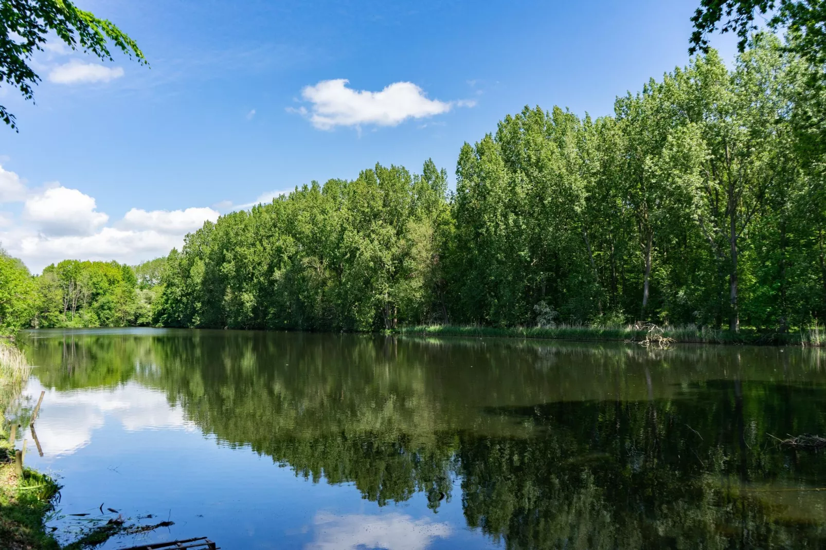 Resort Het Amsterdamse Bos 5-Gebieden zomer 1km