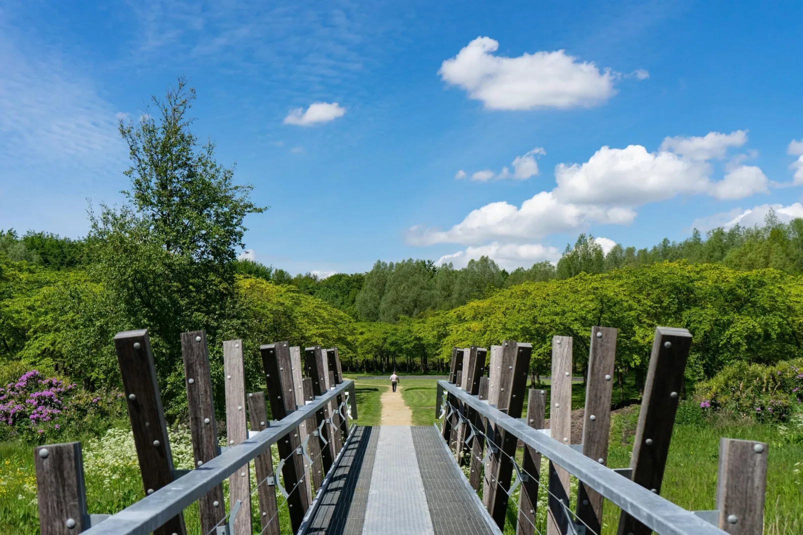 Resort Het Amsterdamse Bos 5-Gebieden zomer 5km