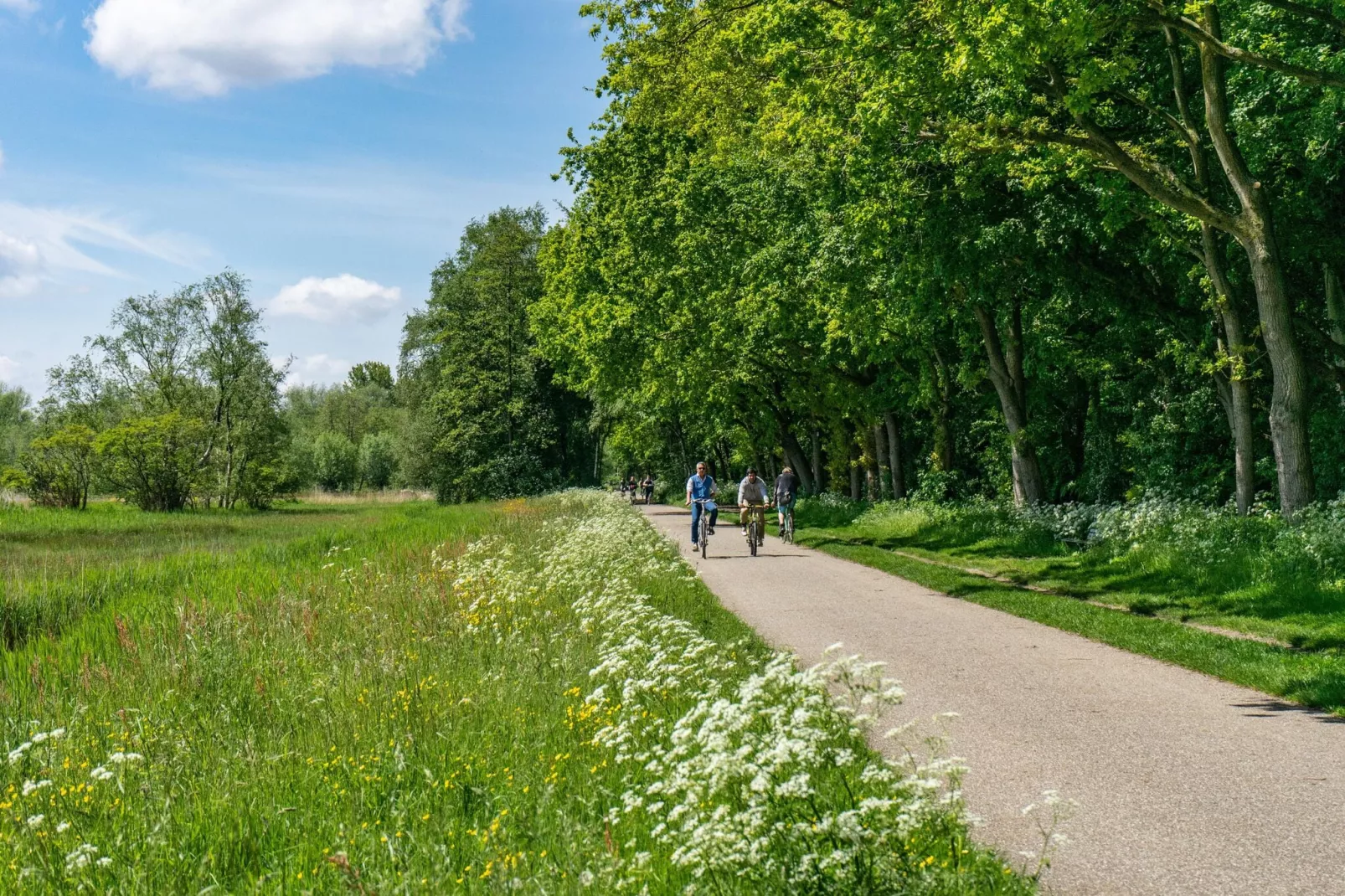 Resort Het Amsterdamse Bos 5-Gebieden zomer 5km