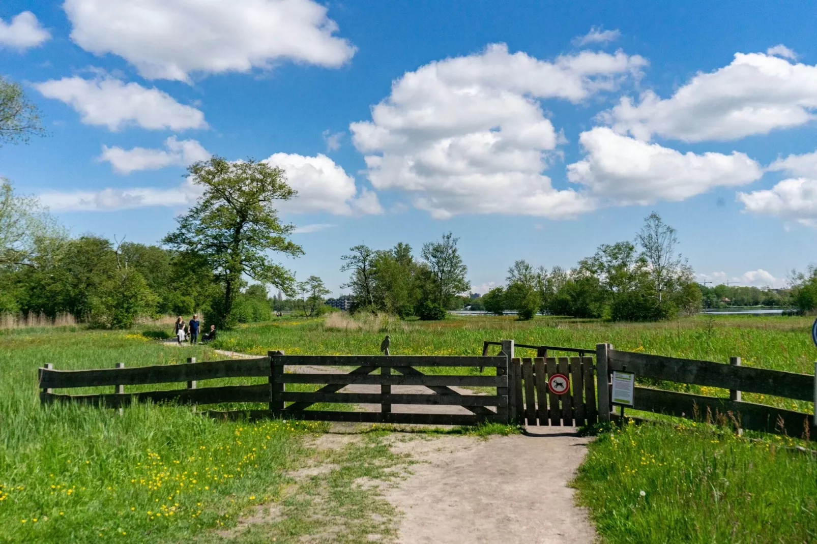 Resort Het Amsterdamse Bos 5-Gebieden zomer 5km