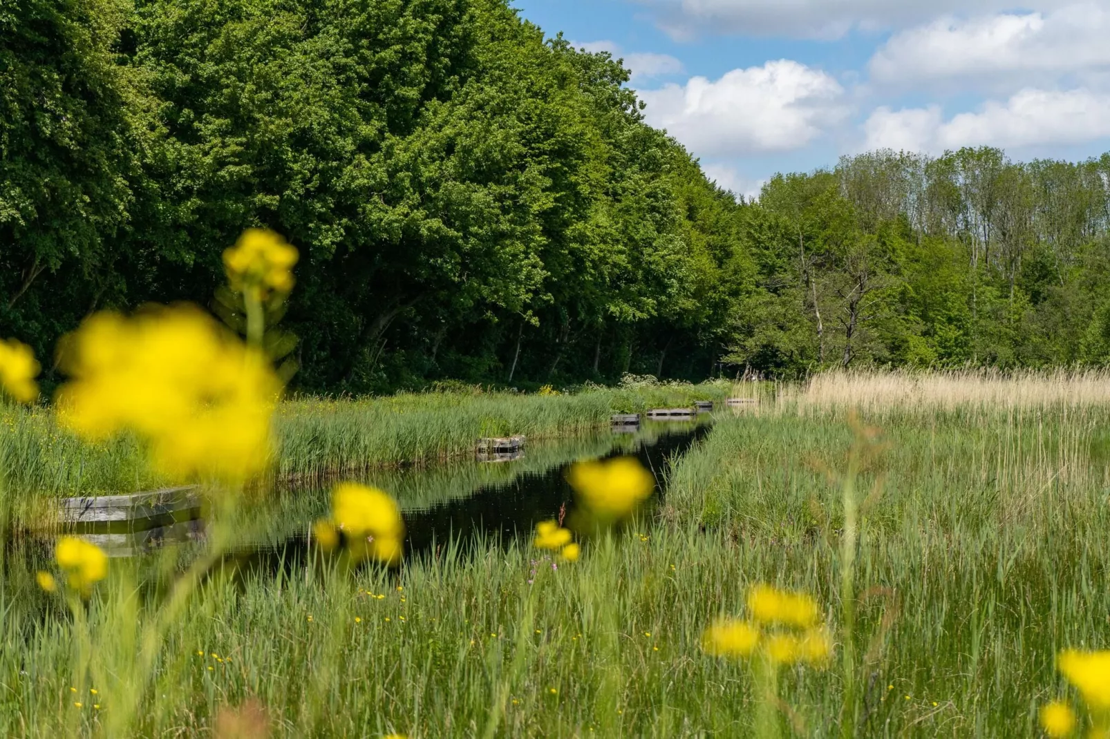 Resort Het Amsterdamse Bos 5-Gebieden zomer 5km