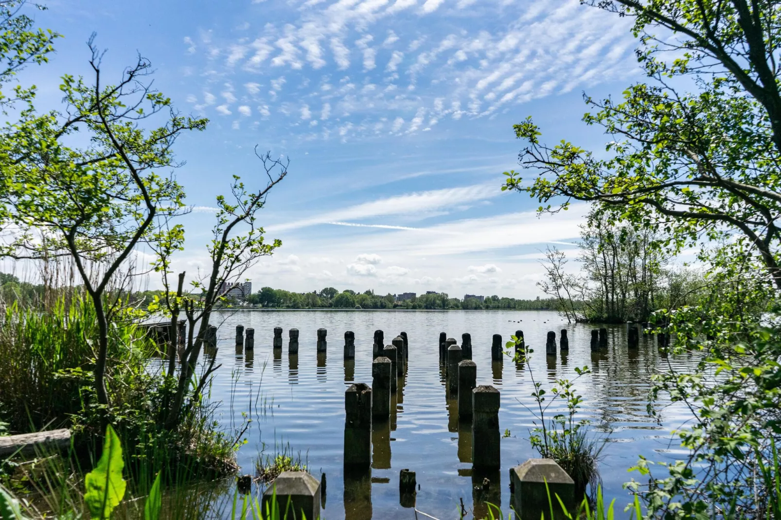 Resort Het Amsterdamse Bos 5-Gebieden zomer 5km