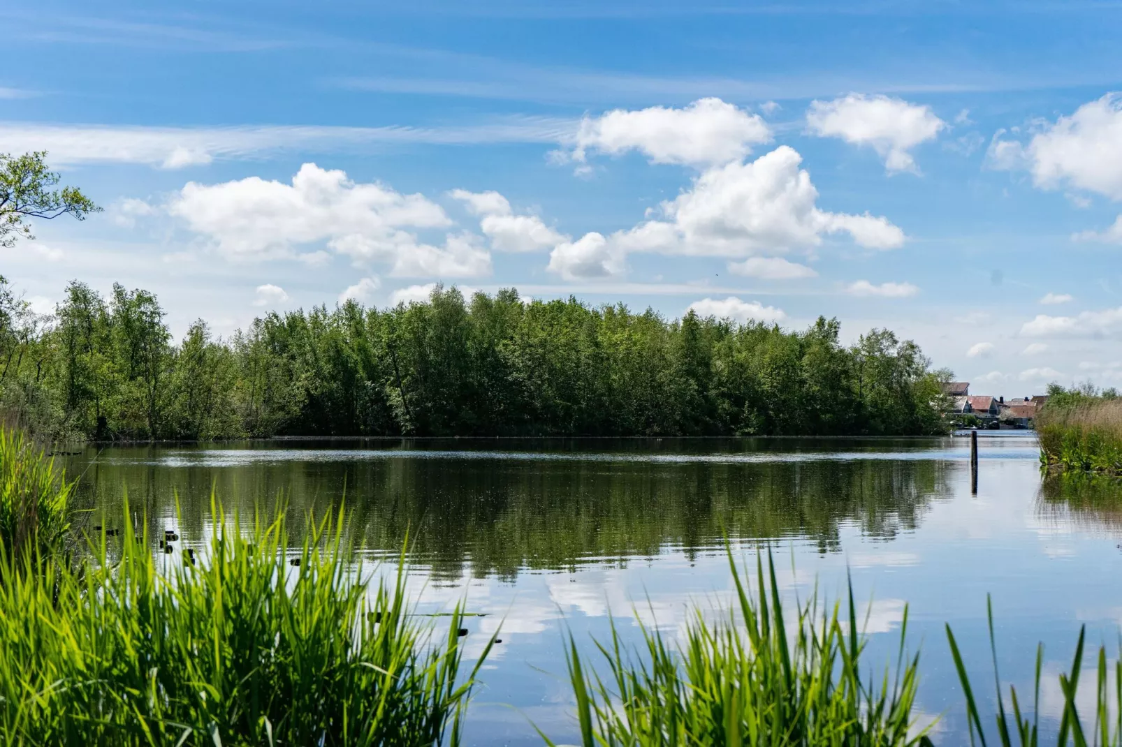 Resort Het Amsterdamse Bos 5-Gebieden zomer 5km