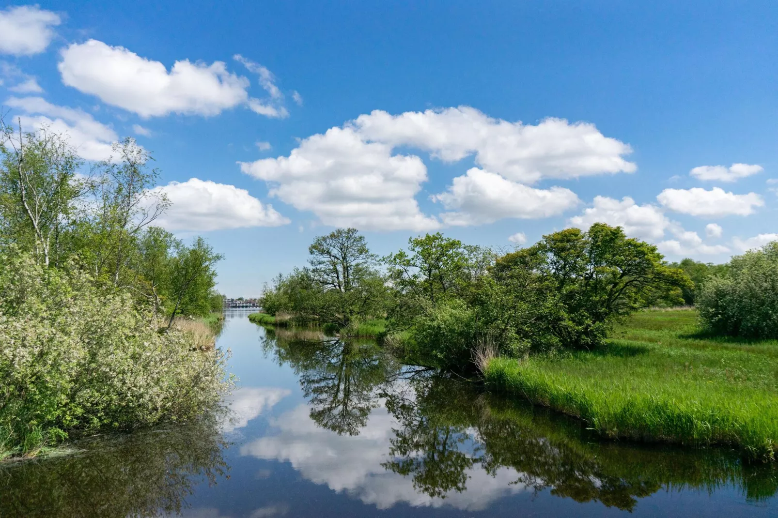 Resort Het Amsterdamse Bos 5-Gebieden zomer 5km