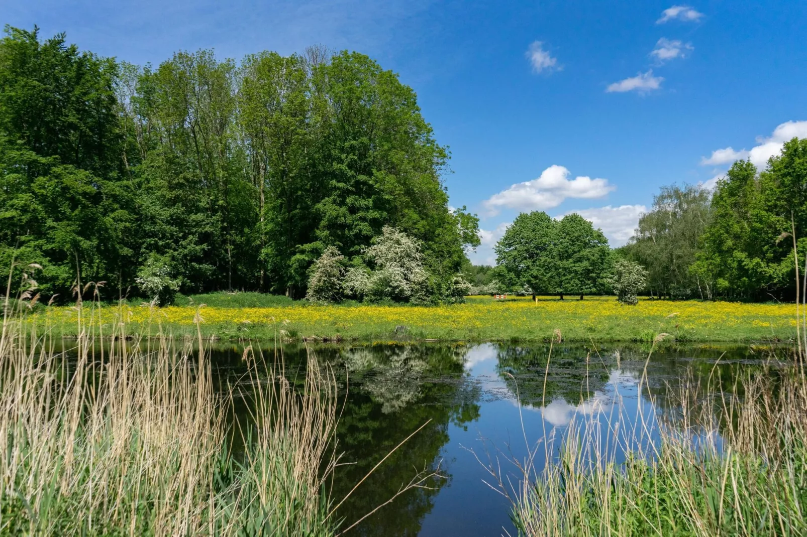 Resort Het Amsterdamse Bos 5-Gebieden zomer 5km