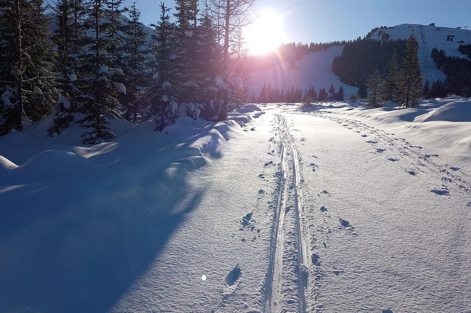 Ferienhaus Lerch 10 Personen-Gebied winter 1km