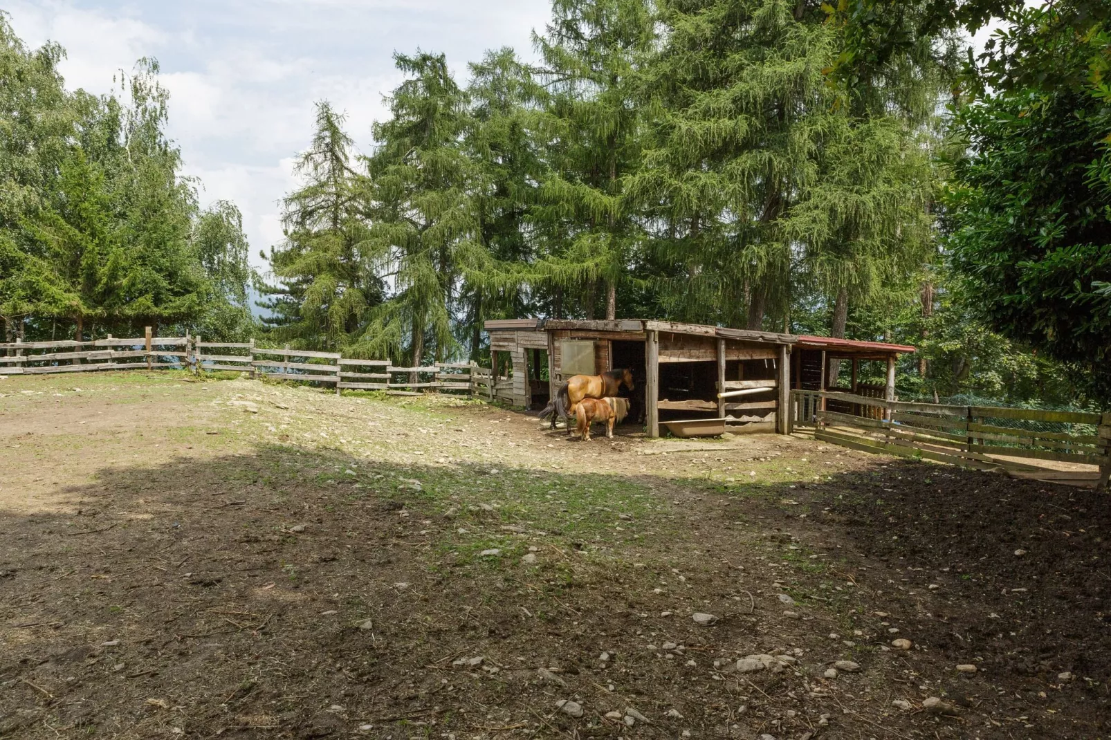 Rododendro-Parkfaciliteiten