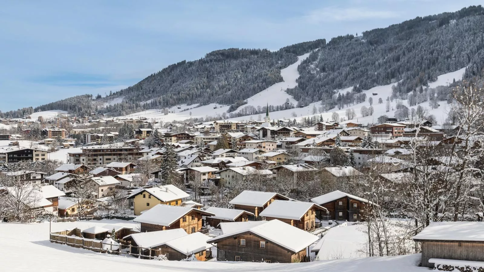 Urige Chalets 14 und 17-Gebied winter 20km