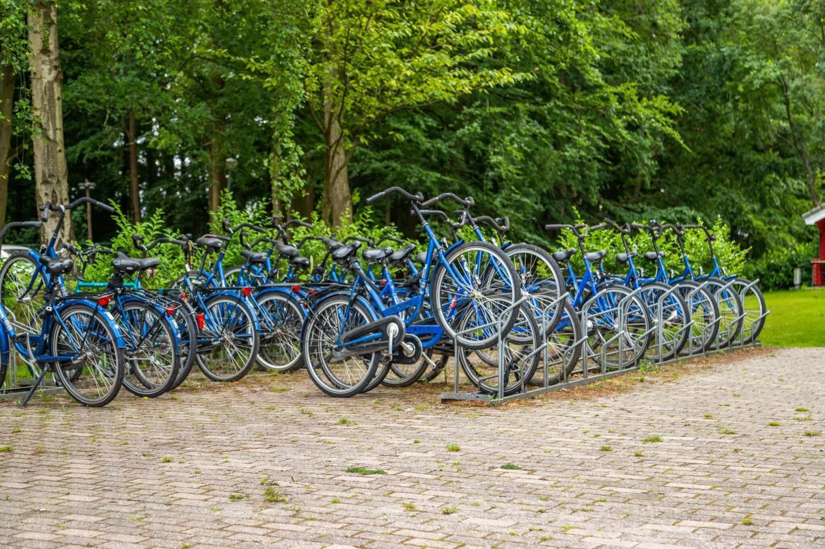 Resort Het Amsterdamse Bos 6-Parkfaciliteiten
