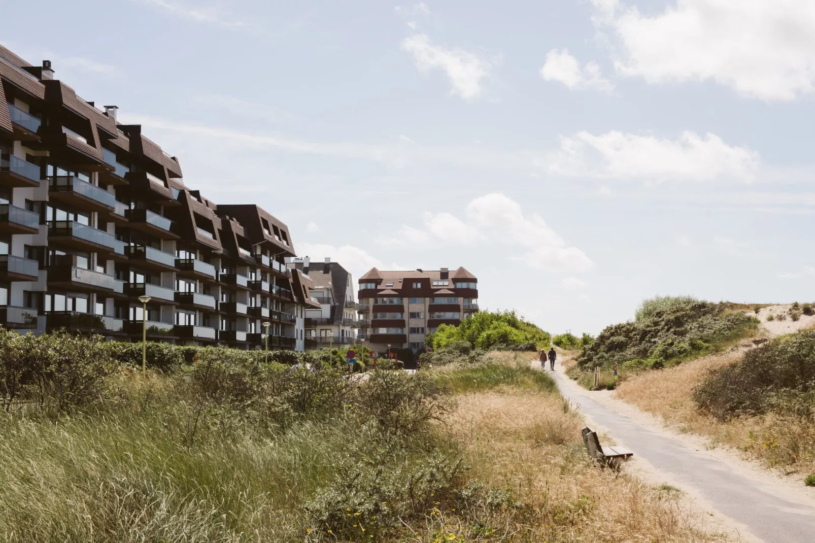 PLAZA Z/Z14-Gebieden zomer 1km