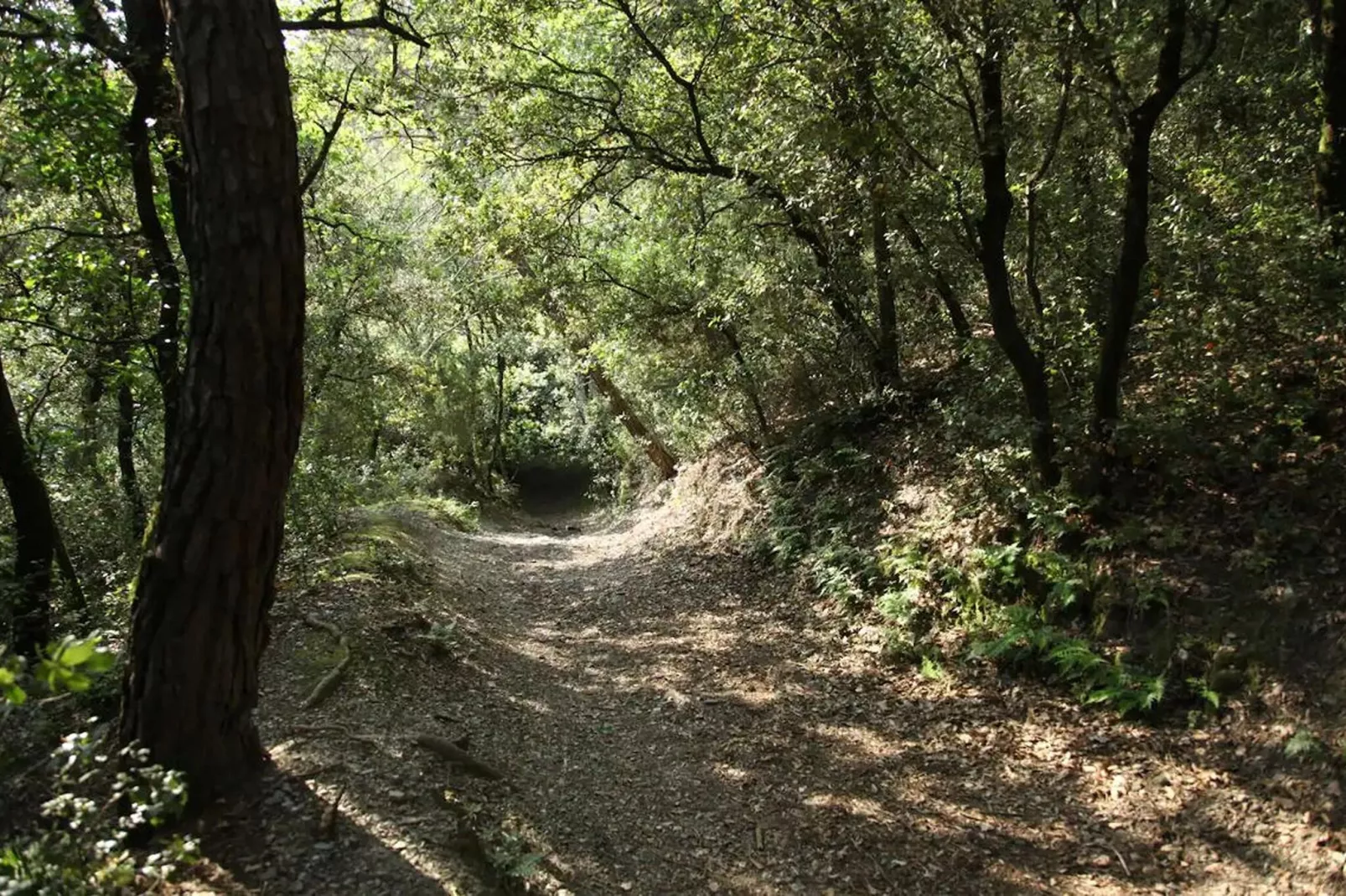 Casa Grande El Porxo-Gebieden zomer 20km