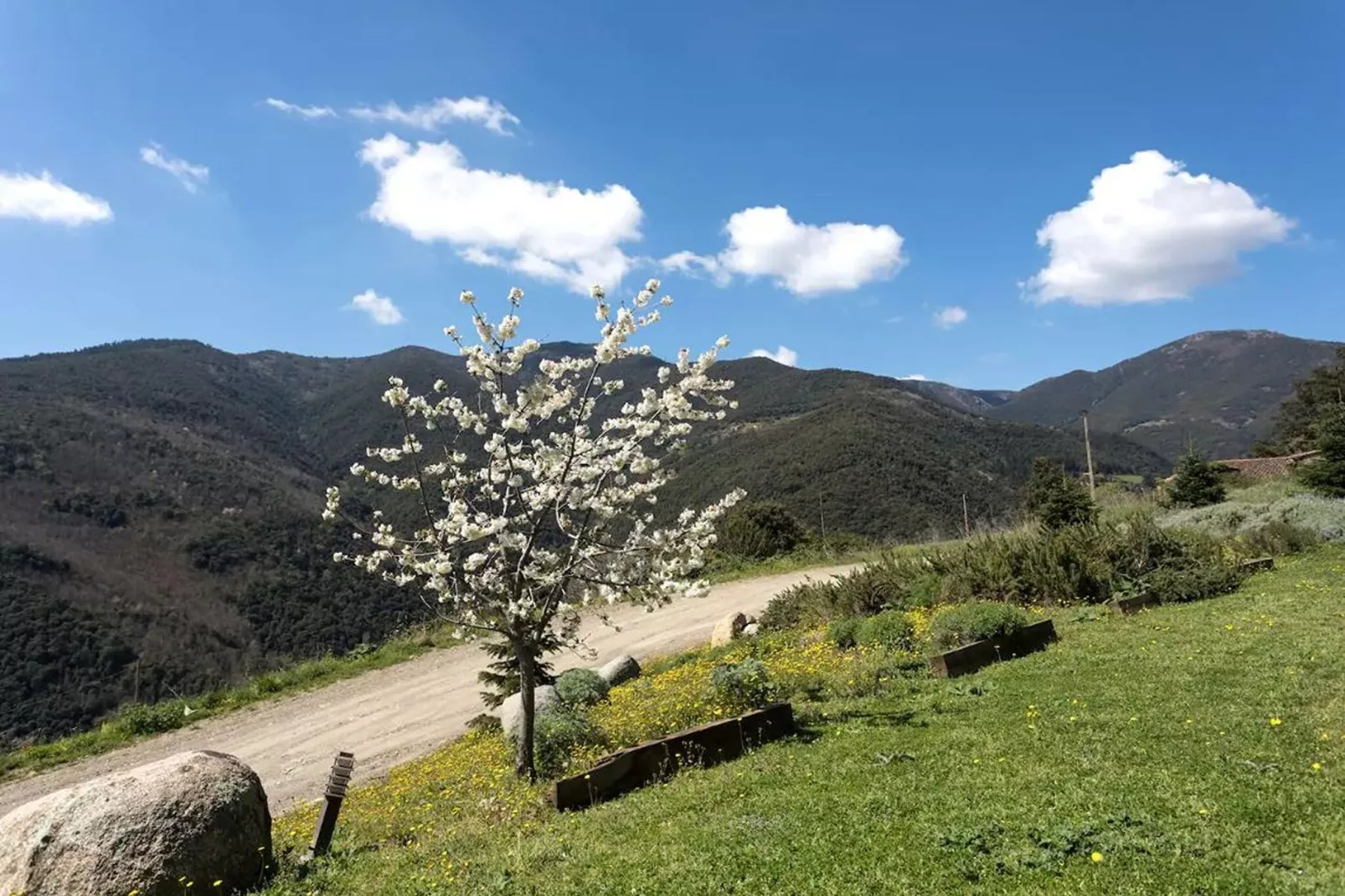 Casa El Magraner-Gebieden zomer 1km