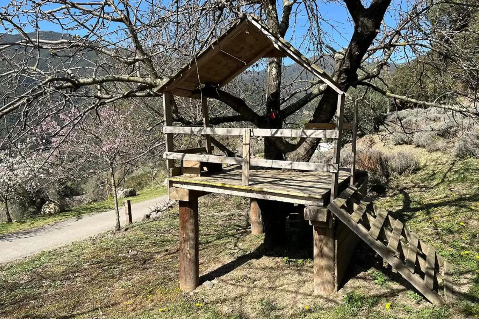 Casa El Magraner-Gebieden zomer 1km