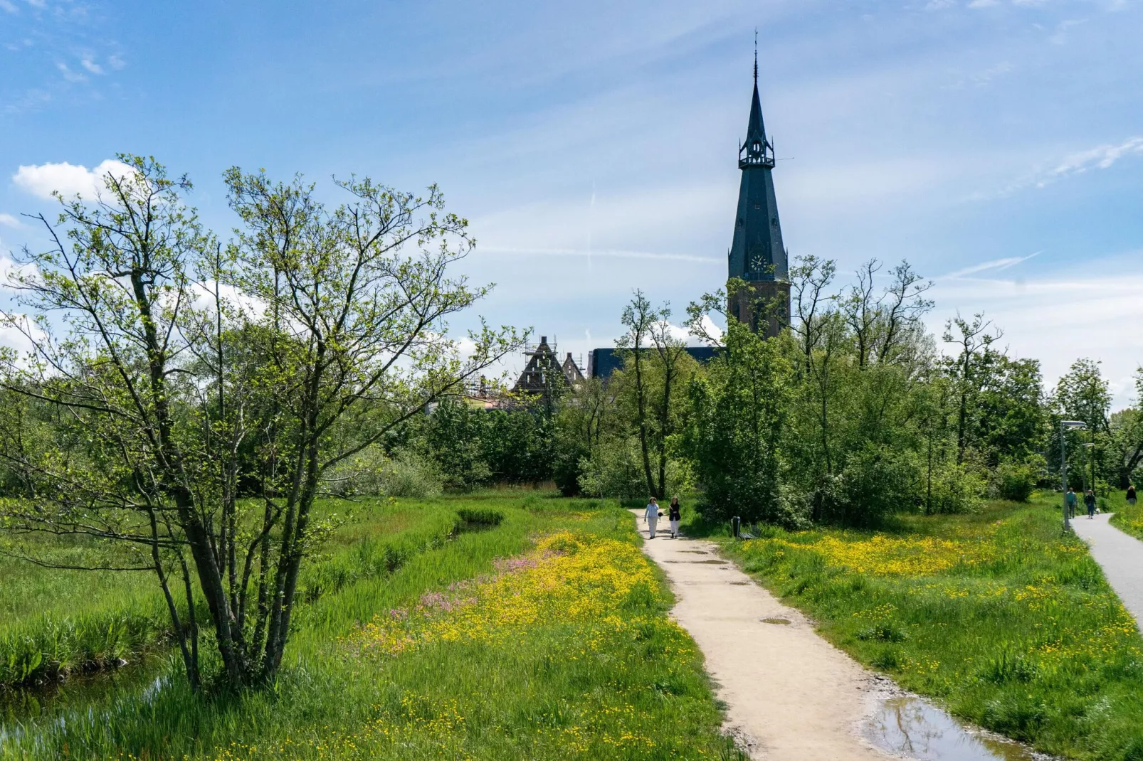 Resort Het Amsterdamse Bos 6-Gebieden zomer 20km