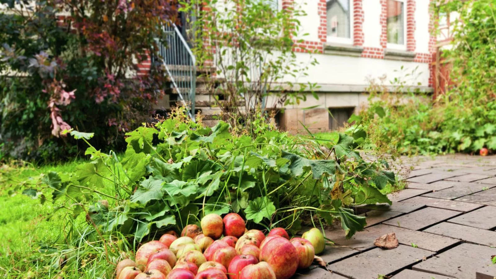 Oude Pastorie en Dorpsschool Netze-Waldeck-Tuinen zomer