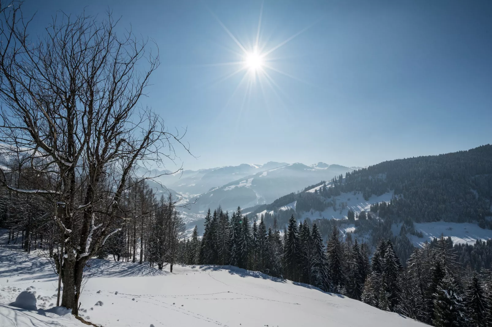 Apartment Bergblick-Uitzicht winter