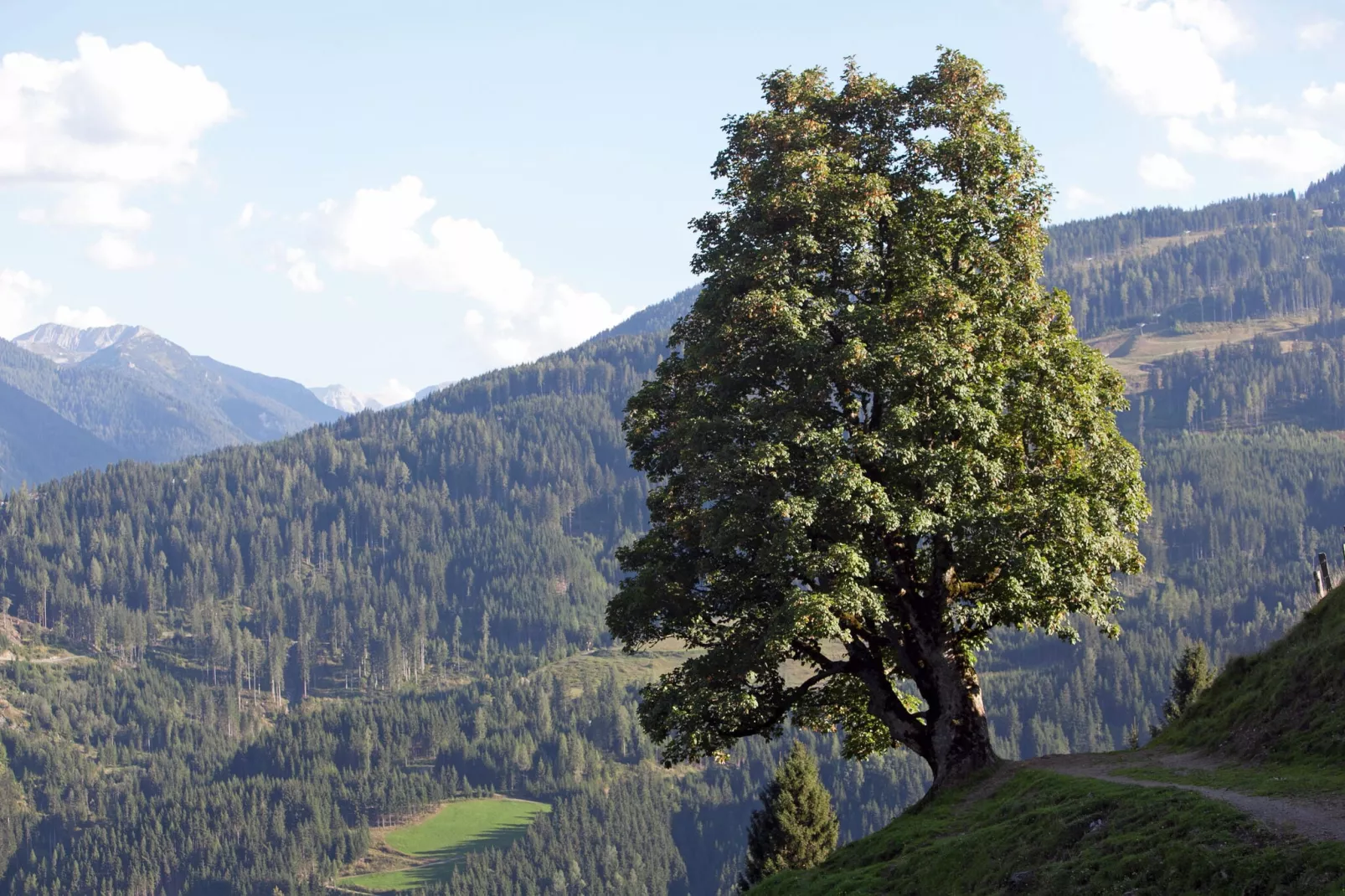 Apartment Bergblick-Gebieden zomer 5km