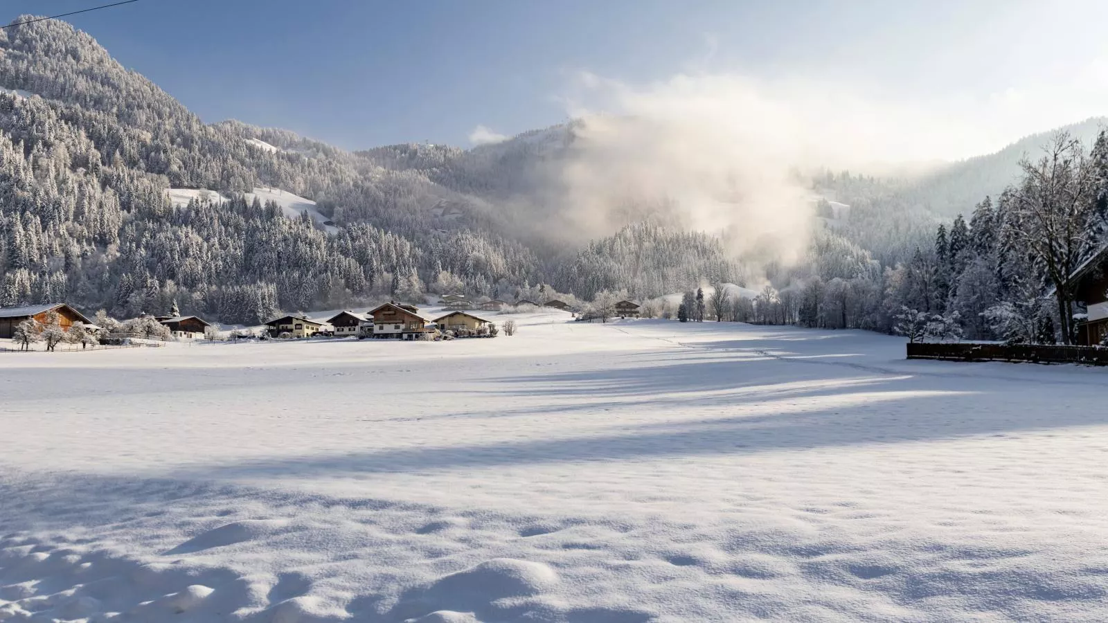 Ferienhaus Platzhirsch-Uitzicht winter