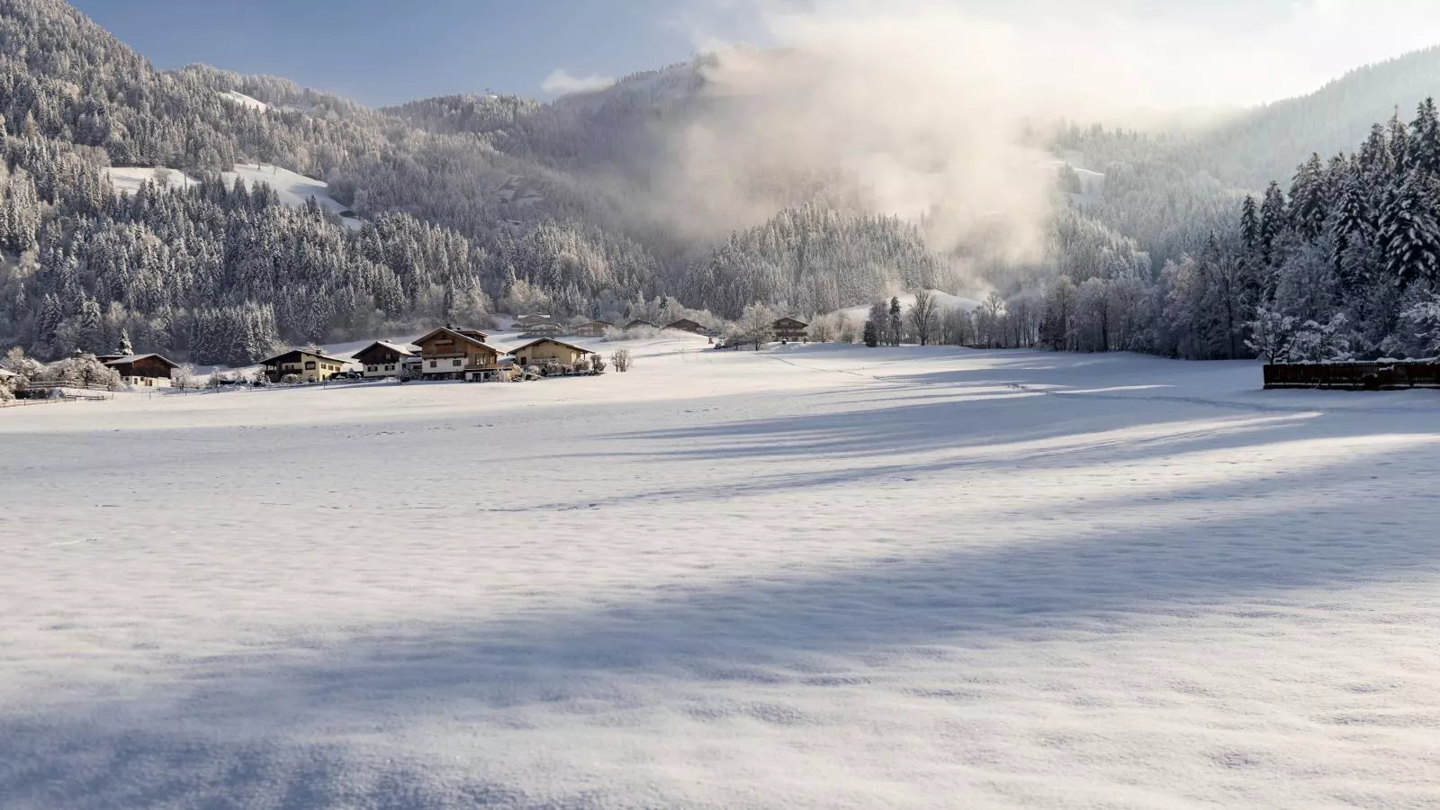 Ferienhaus Platzhirsch-Uitzicht winter