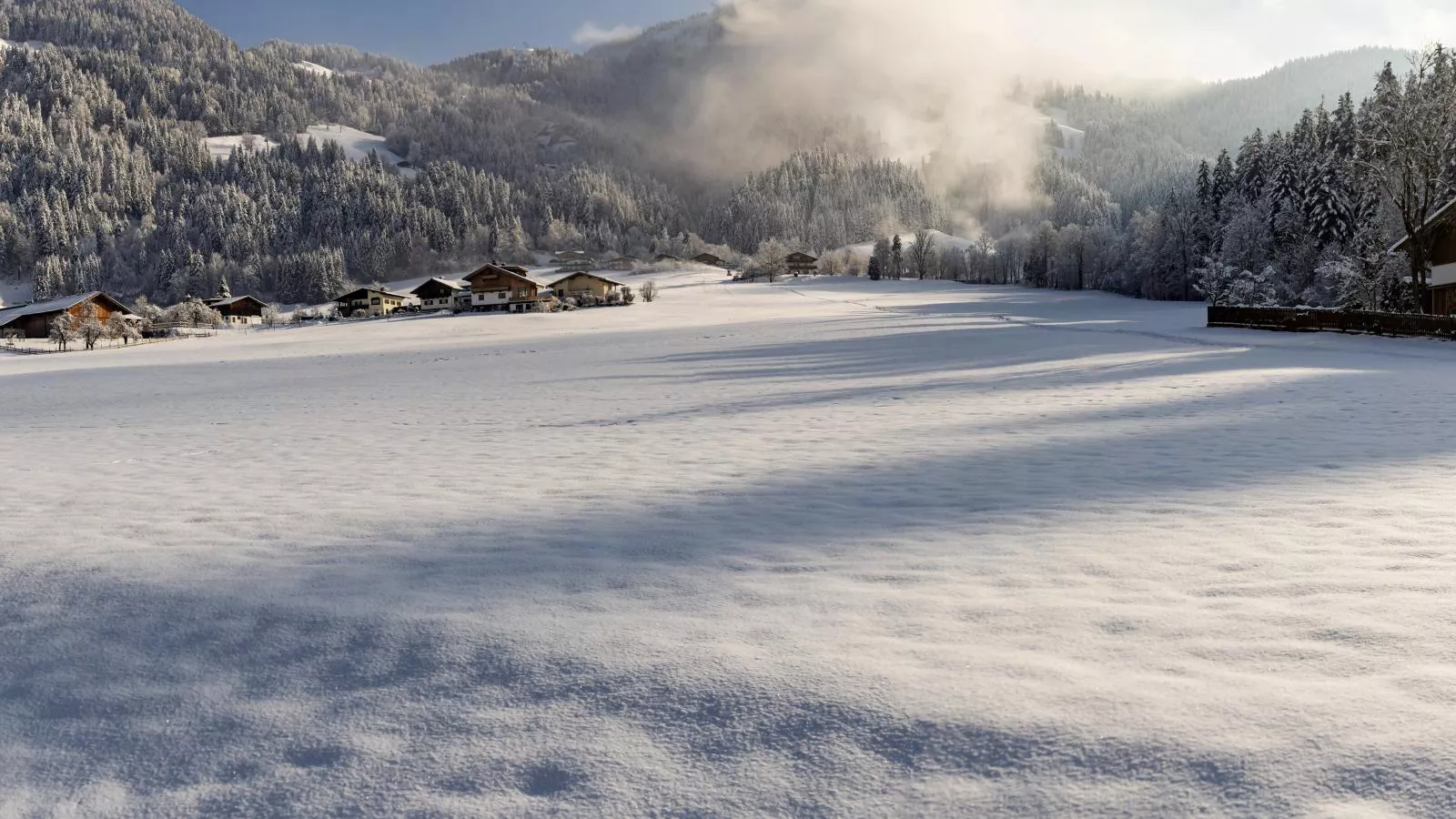 Ferienhaus Platzhirsch-Uitzicht winter