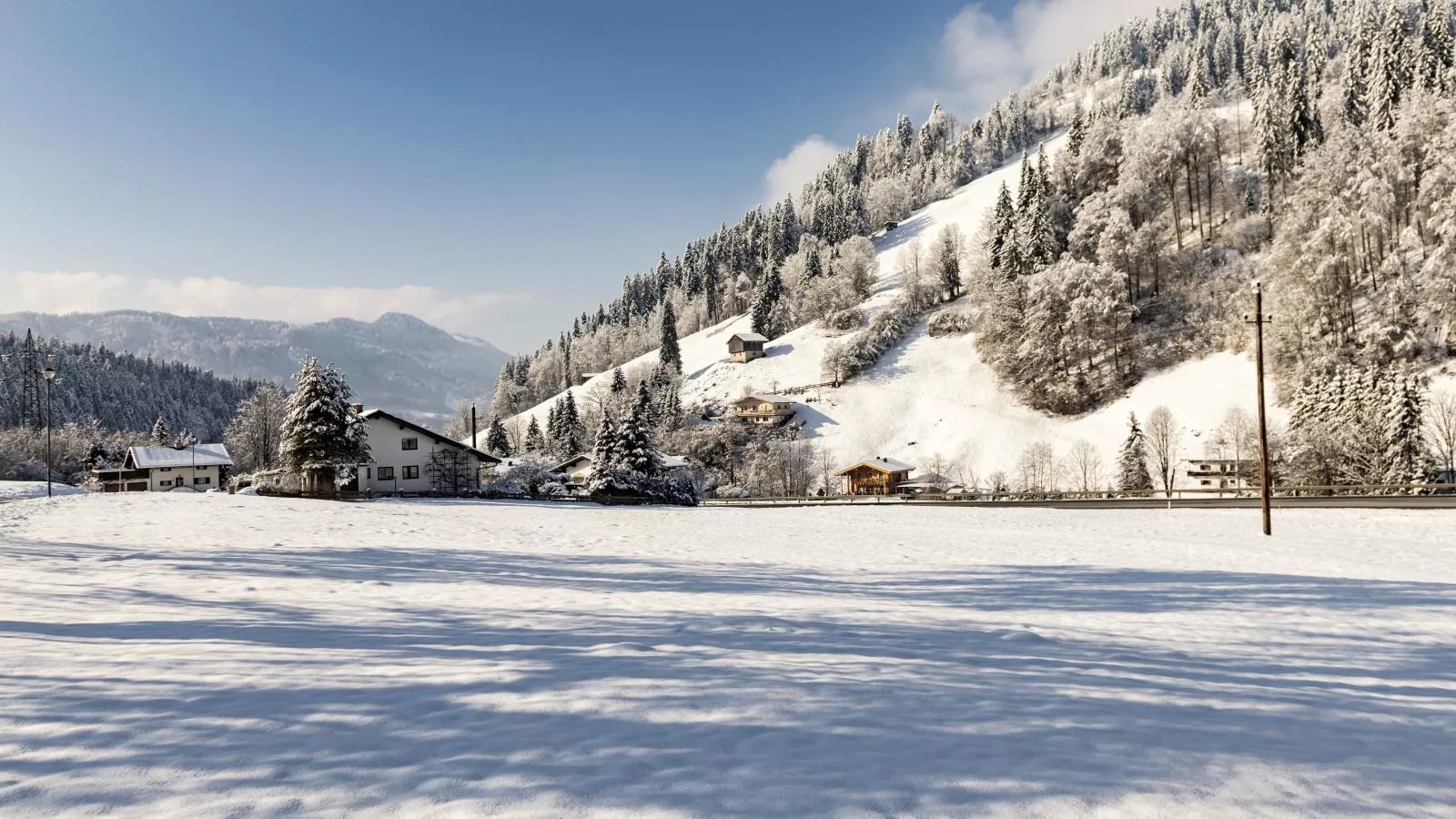 Platzhirsch-Exterieur winter