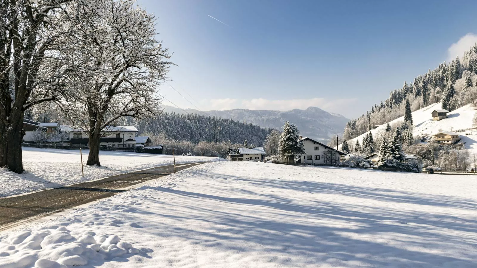 Ferienhaus Platzhirsch-Exterieur winter