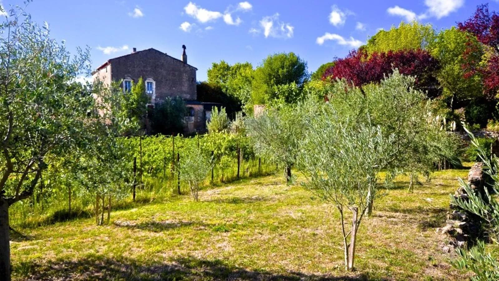 Villa au calme avec piscine-Tuinen zomer