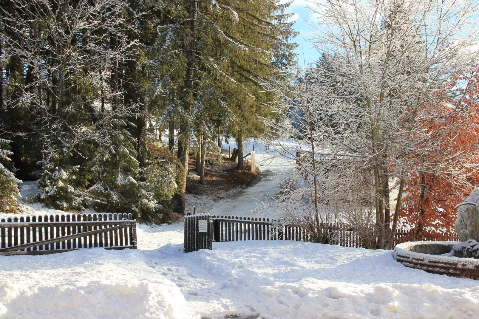 Chalet Mariapfarr-Hal-ontvangst