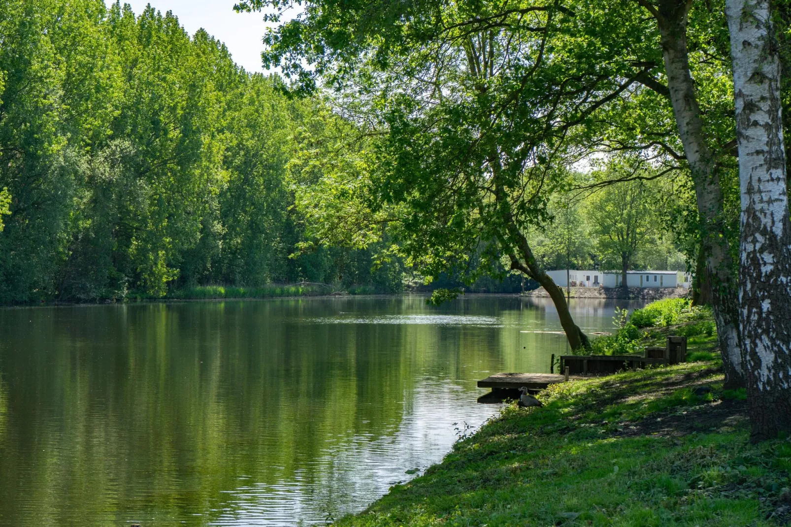 Resort Het Amsterdamse Bos 8-Gebieden zomer 1km