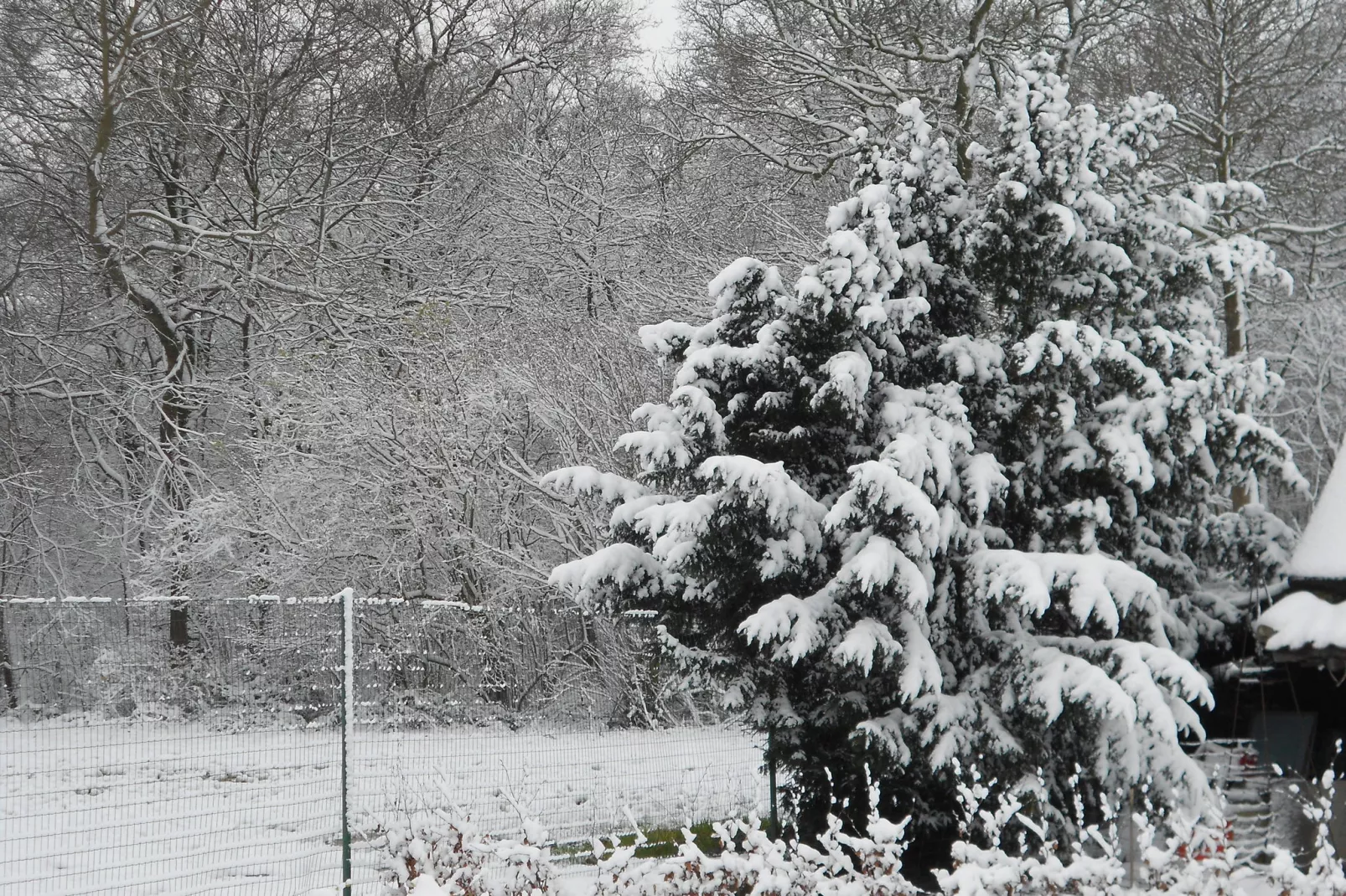 Het Boerderijtje-Tuin winter