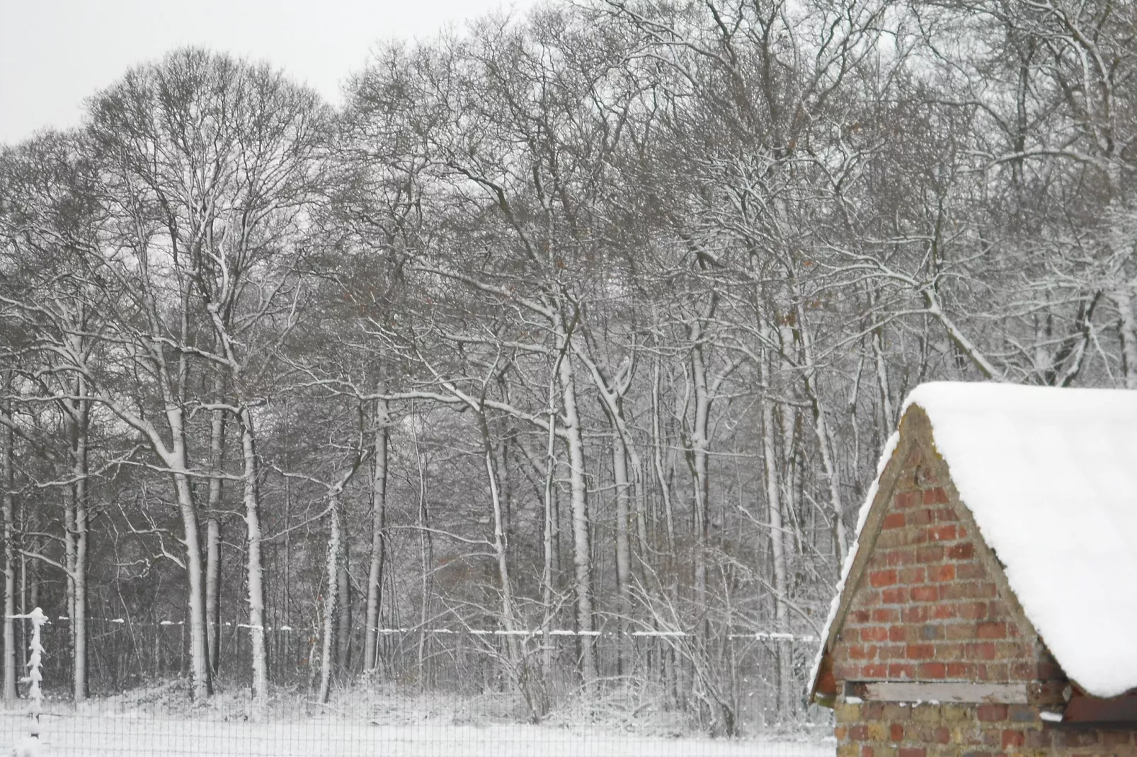 Het Boerderijtje-Tuin winter