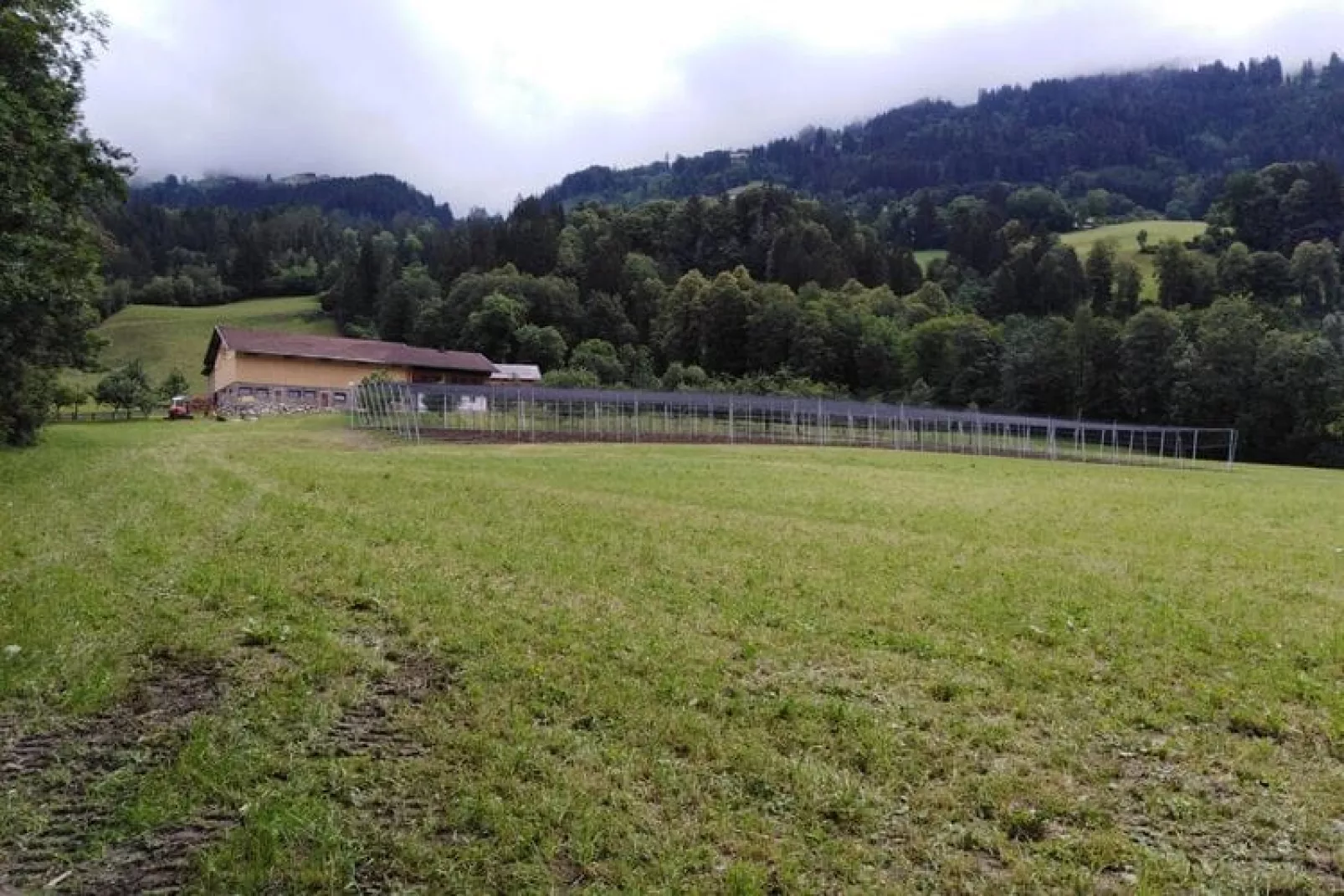 Steinachhof-Tuinen zomer