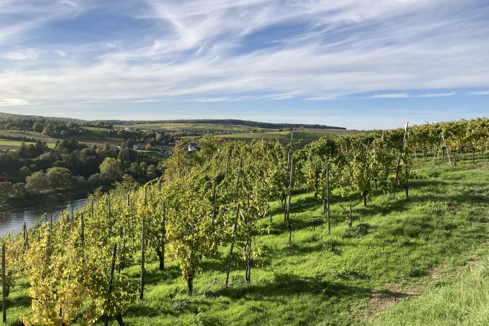 Ferien-Weingut Kirch-Gebieden zomer 1km
