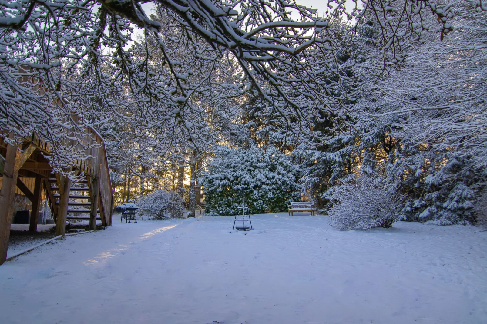 De Eekhoorn-Tuin winter