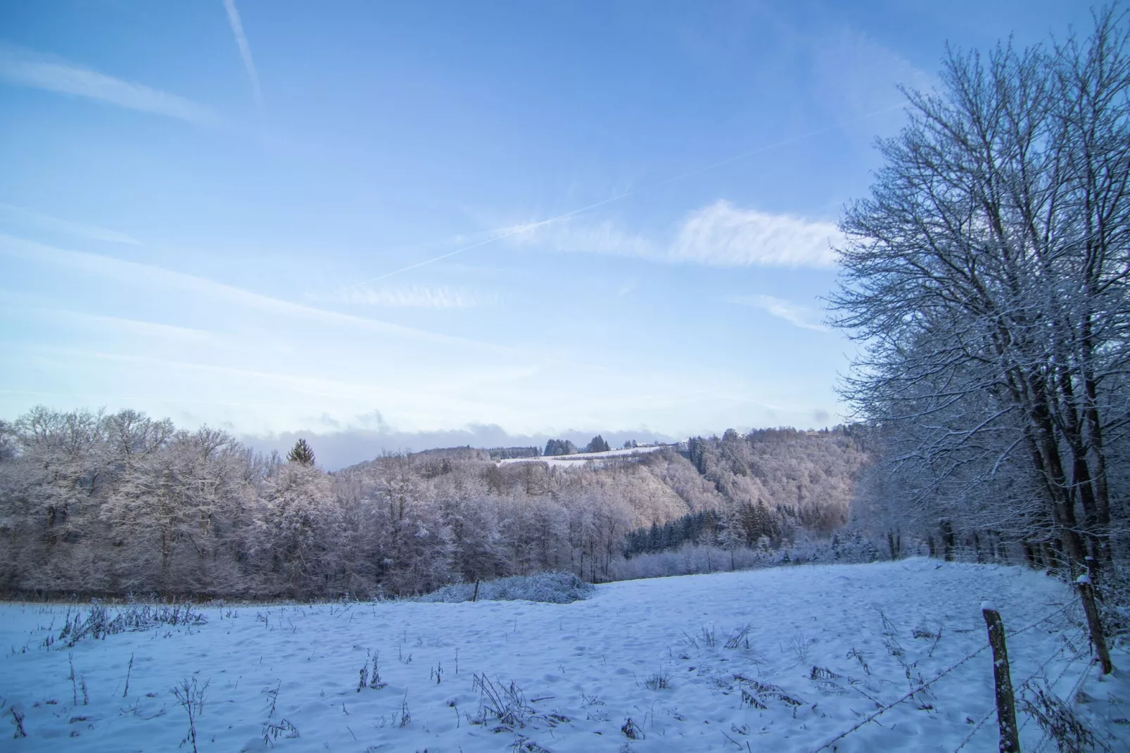 De Eekhoorn-Gebied winter 1km