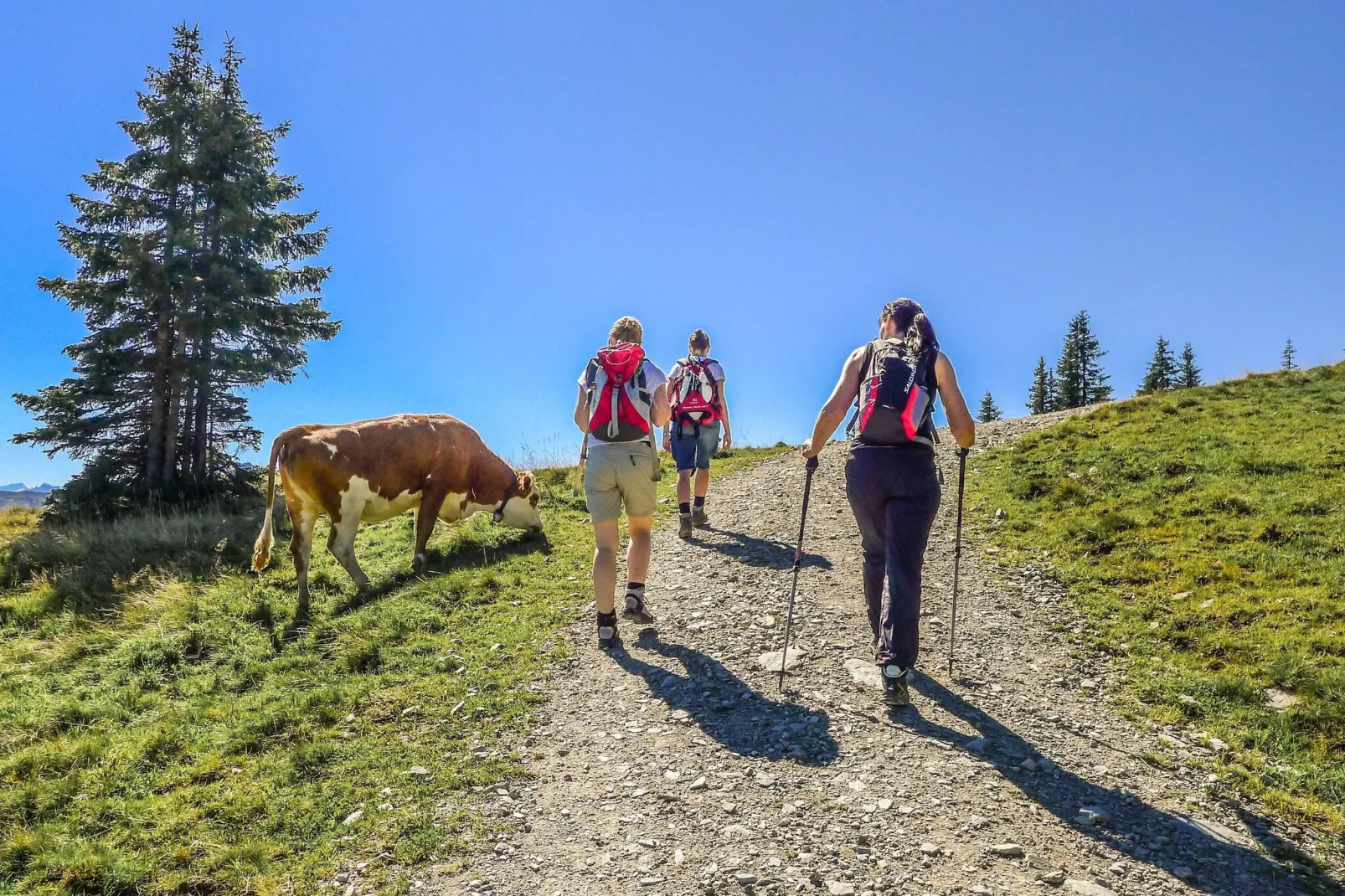 Haus Andrea Cäciel-Gebieden zomer 5km