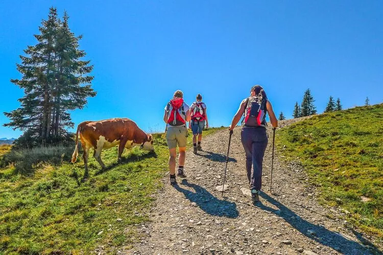 Haus Andrea Cäciel-Gebieden zomer 5km