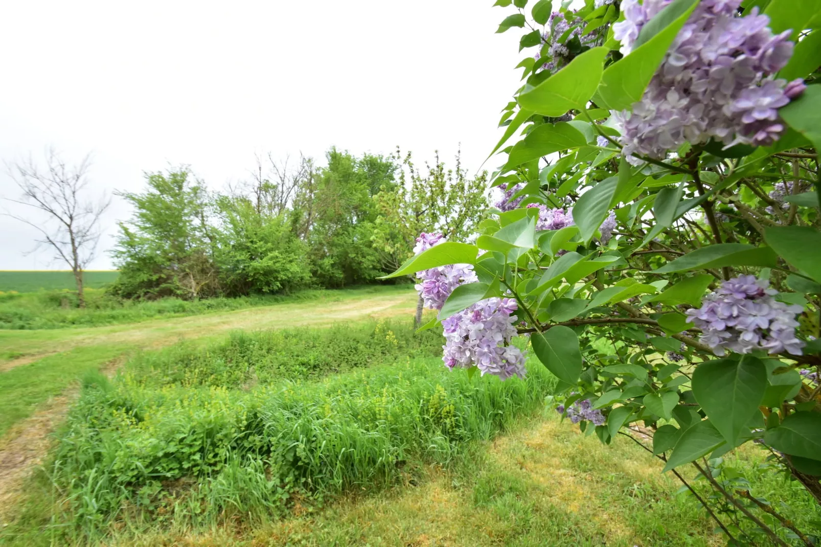 Gite 6 pers près de Châteauroux-Tuinen zomer