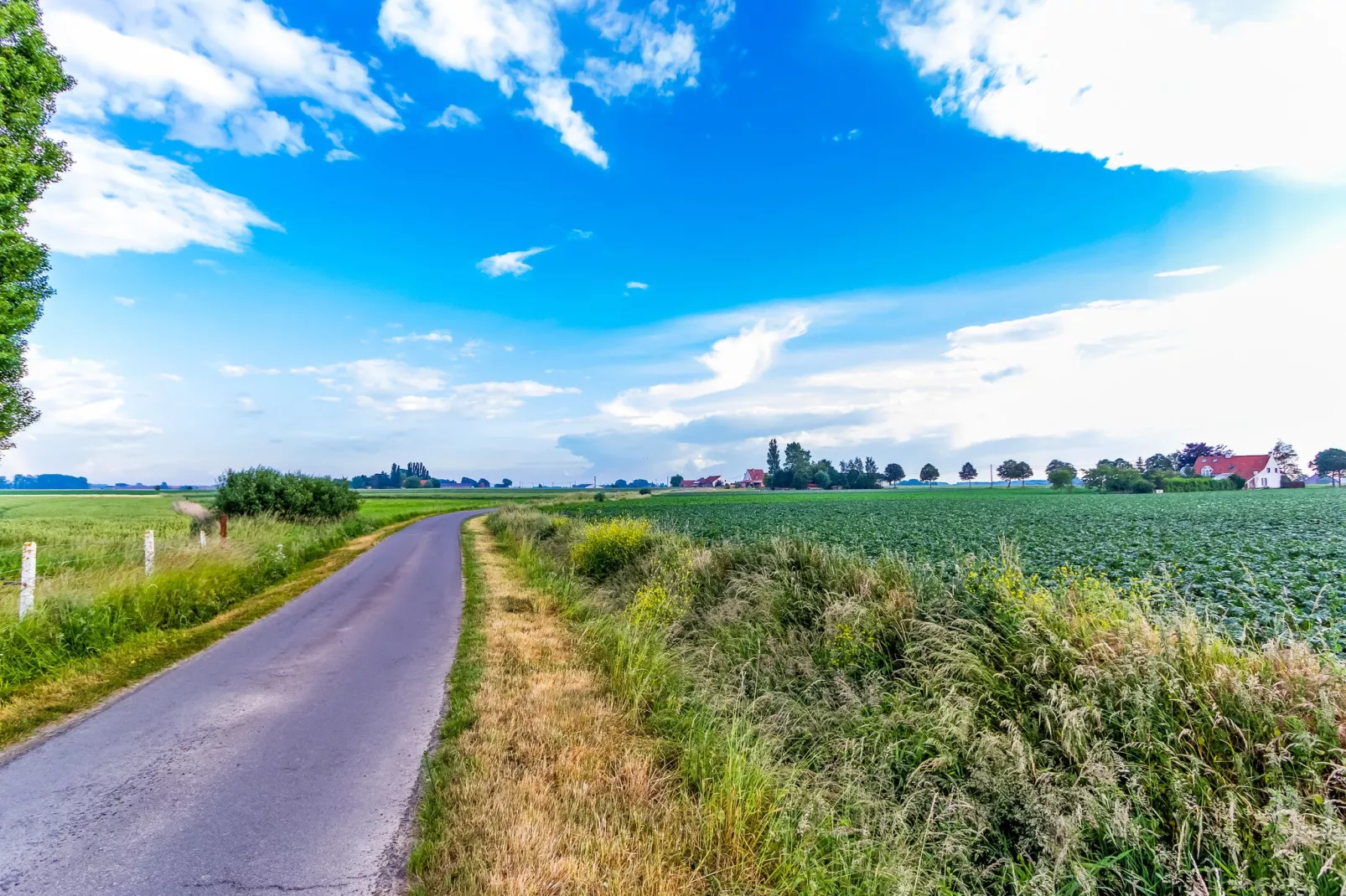 De Baraque-Gebieden zomer 5km