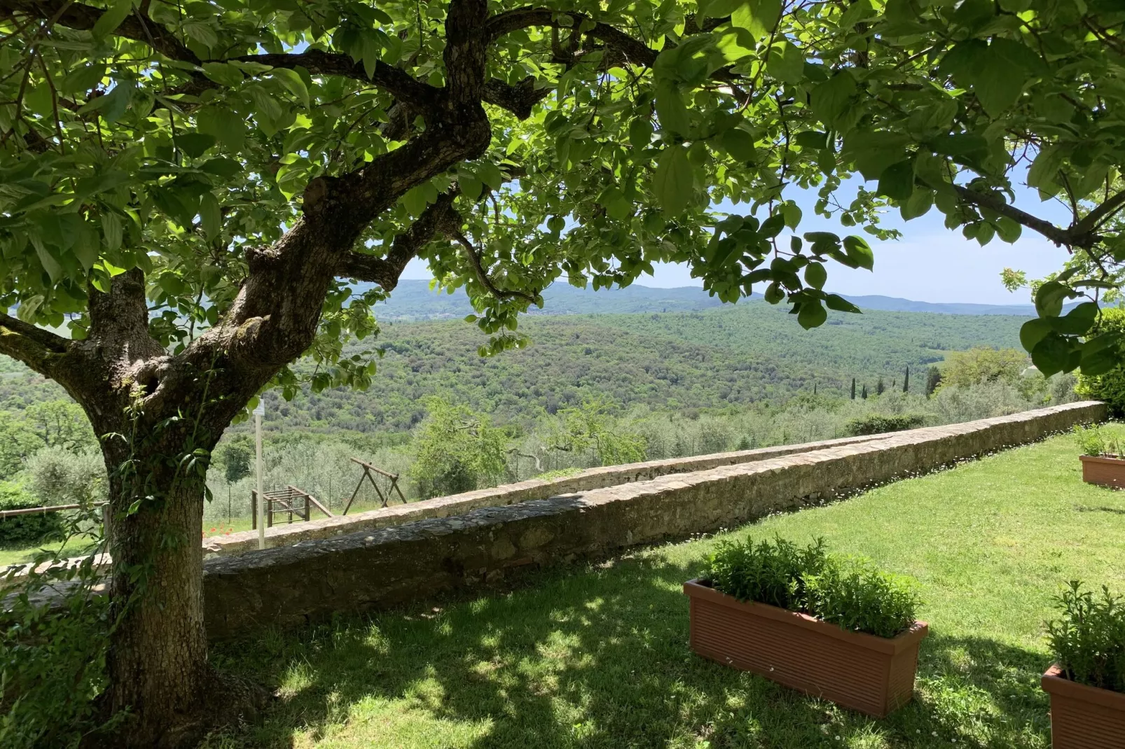 Ginestra-Tuinen zomer