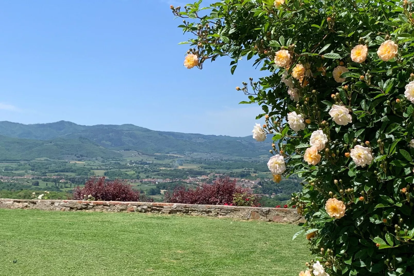 Ginestra-Uitzicht zomer