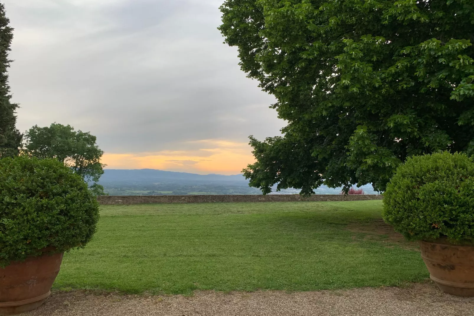 Ginestra-Gebieden zomer 1km