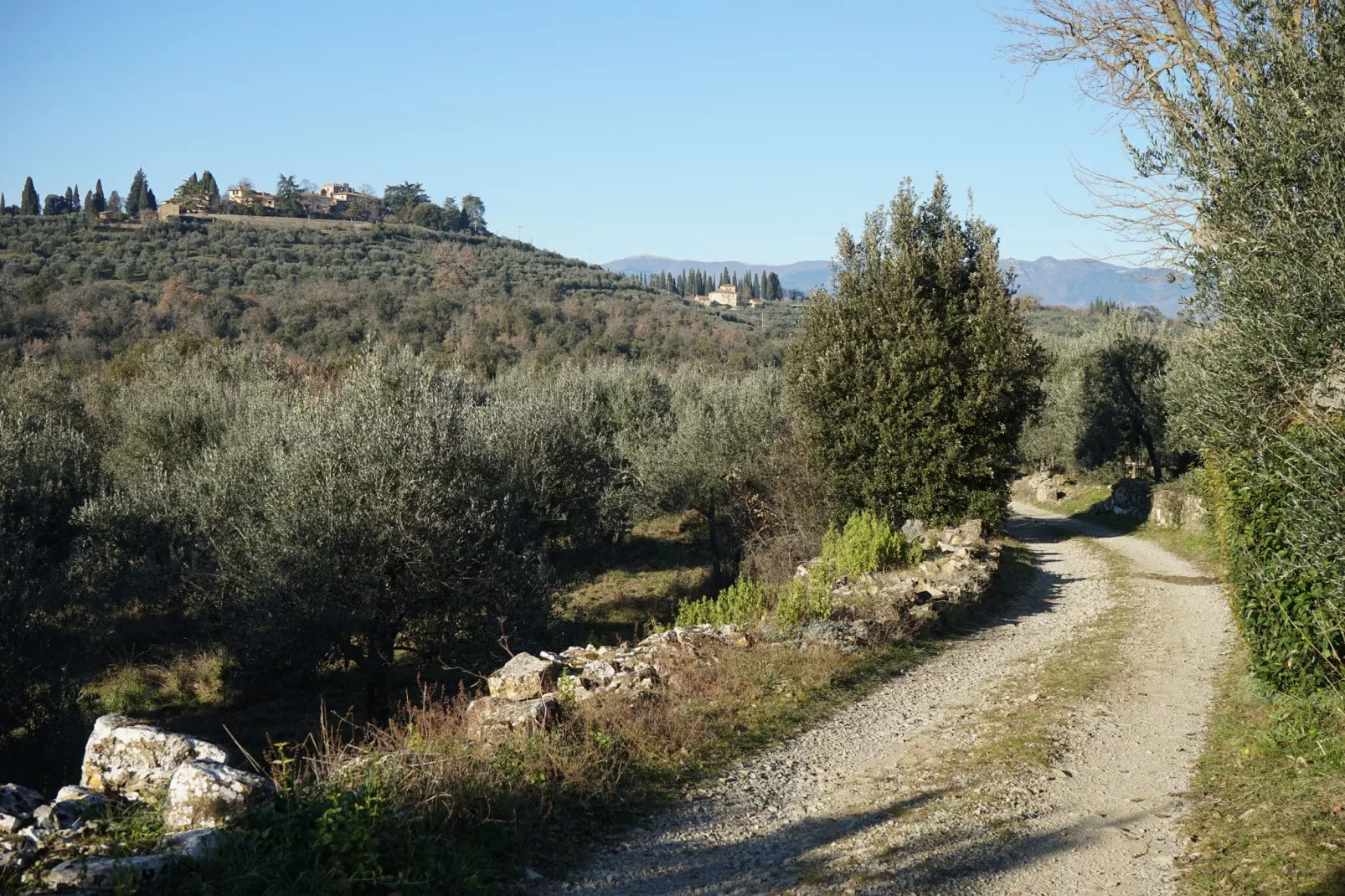 Ginestra-Gebieden zomer 1km