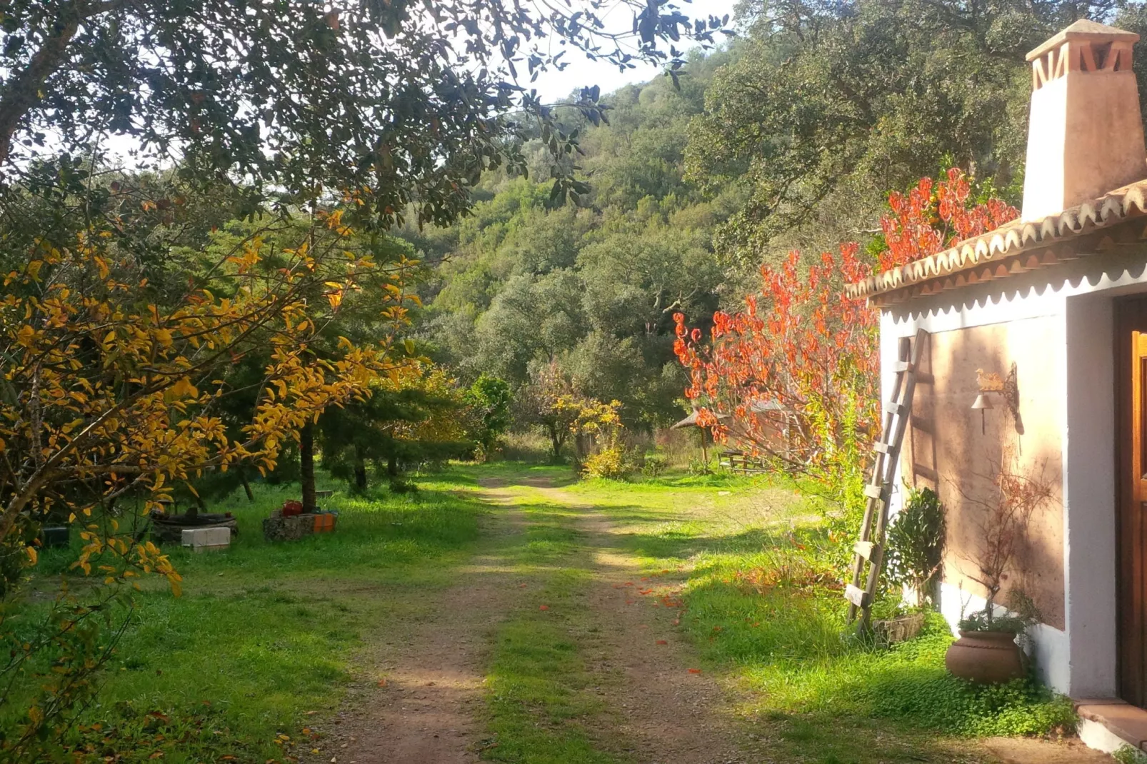 Casa da Adega-Uitzicht zomer